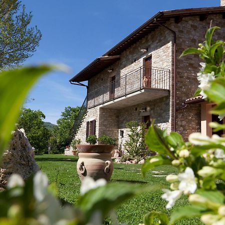 Relais Parco Del Subasio Villa Piano Delle Pieve Eksteriør bilde