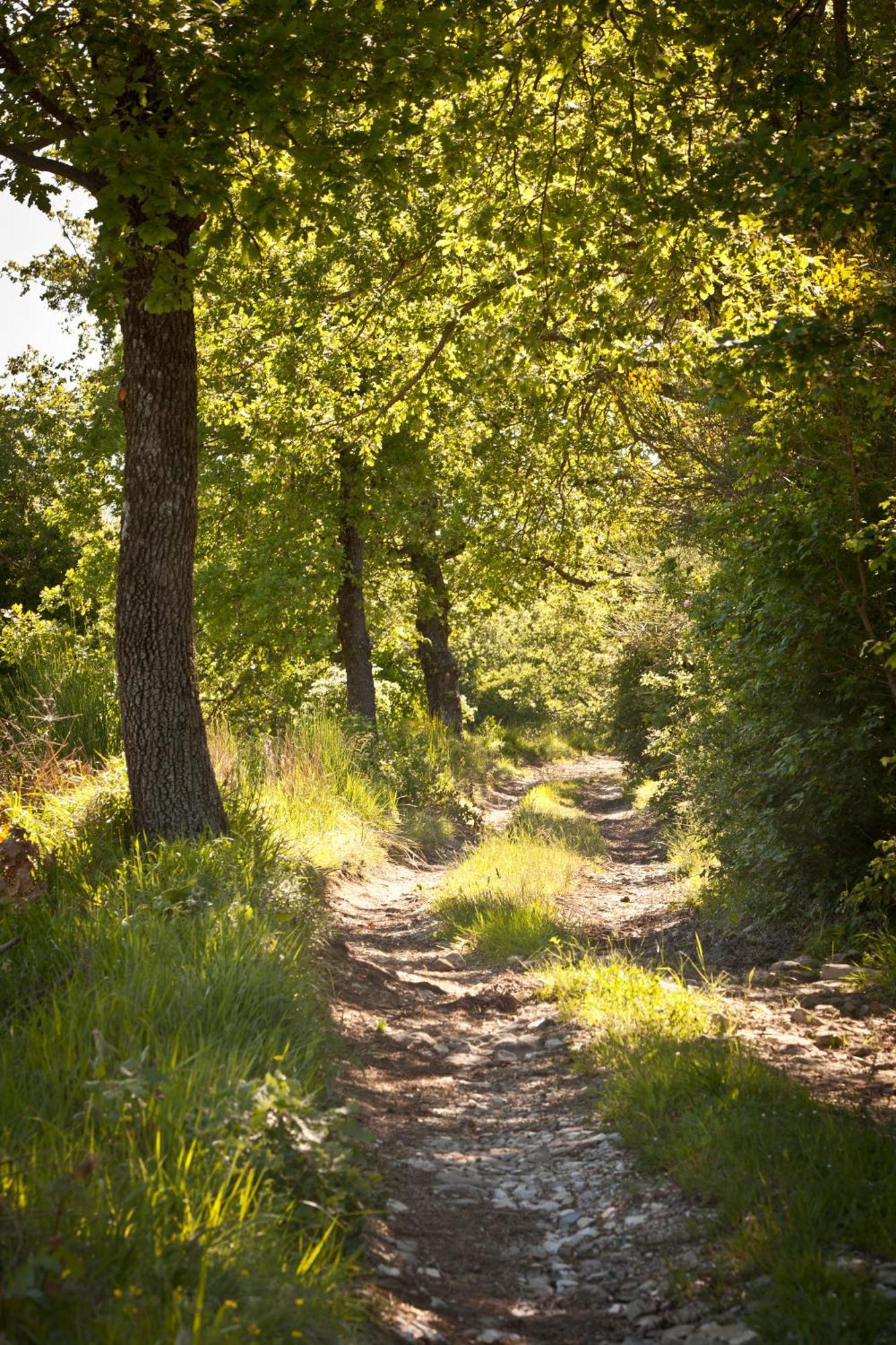 Relais Parco Del Subasio Villa Piano Delle Pieve Eksteriør bilde