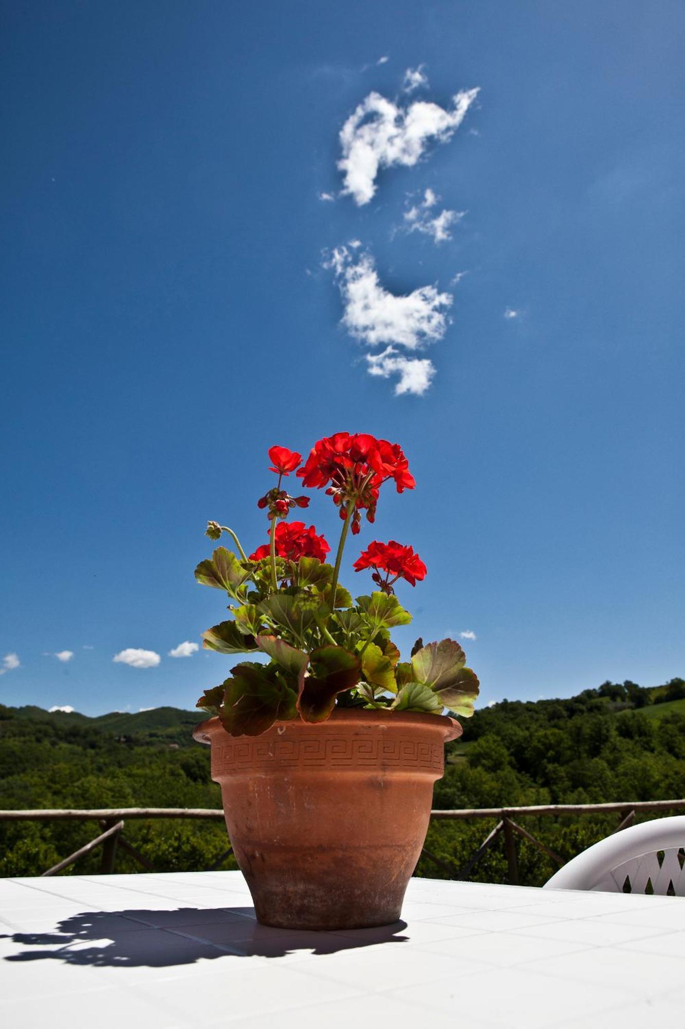 Relais Parco Del Subasio Villa Piano Delle Pieve Eksteriør bilde