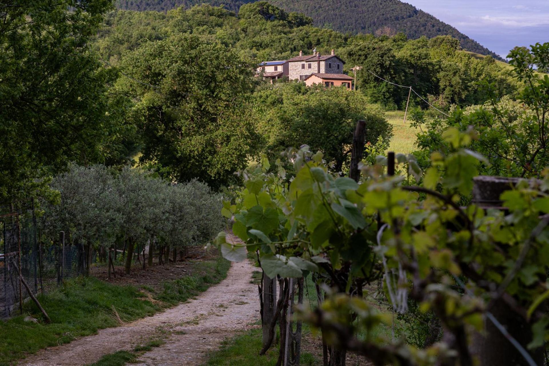 Relais Parco Del Subasio Villa Piano Delle Pieve Eksteriør bilde